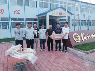 风韵丰满熟妇啪啪区老熟熟女