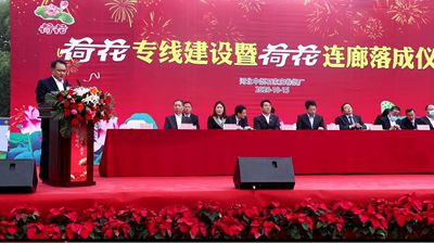 风韵丰满熟妇啪啪区老熟熟女