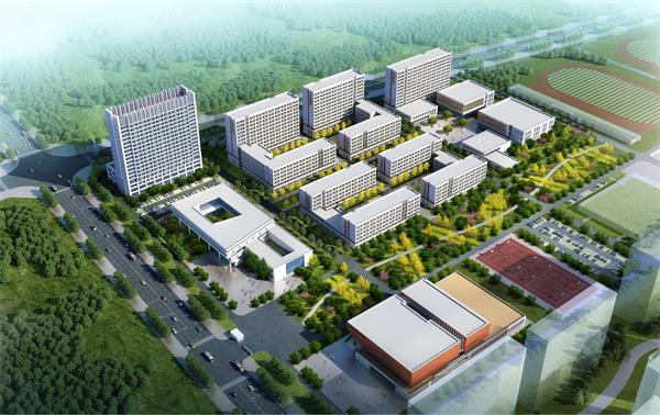 风韵丰满熟妇啪啪区老熟熟女