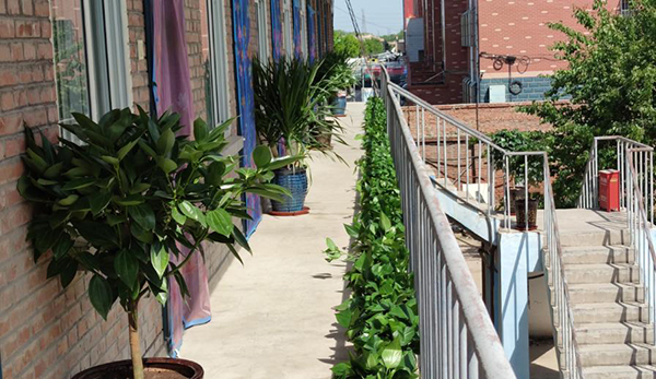 风韵丰满熟妇啪啪区老熟熟女