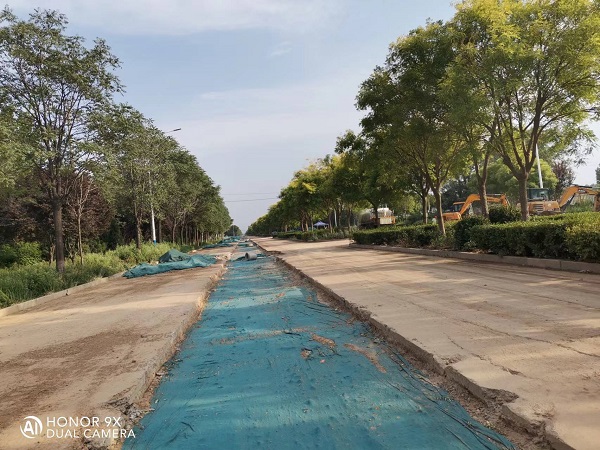 风韵丰满熟妇啪啪区老熟熟女