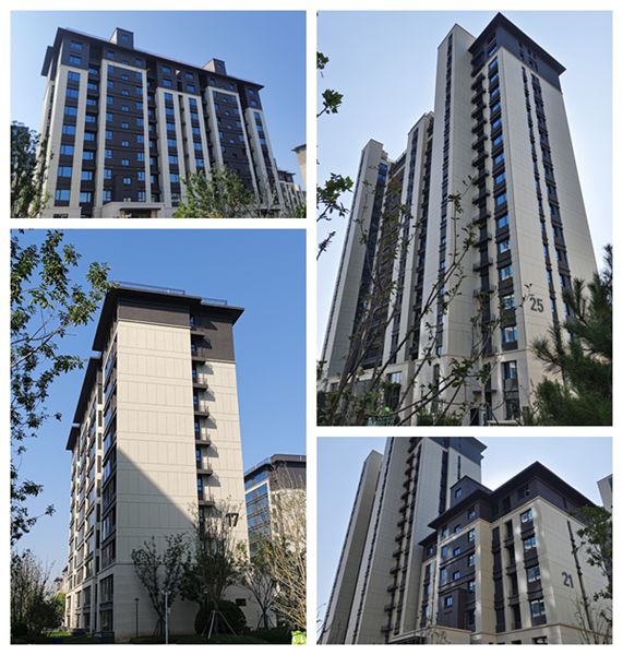 风韵丰满熟妇啪啪区老熟熟女