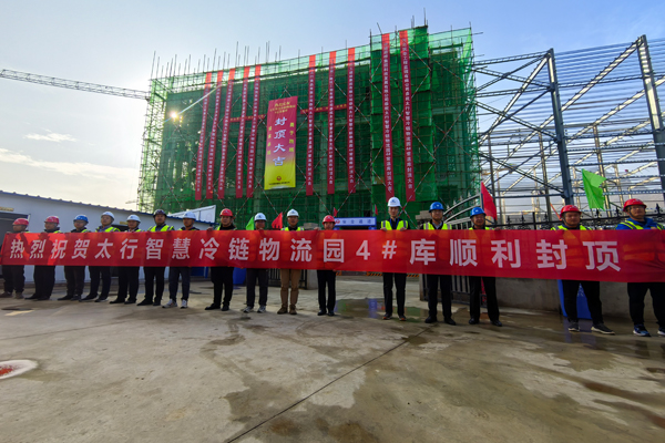 风韵丰满熟妇啪啪区老熟熟女