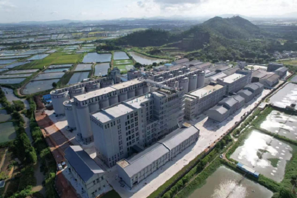 风韵丰满熟妇啪啪区老熟熟女