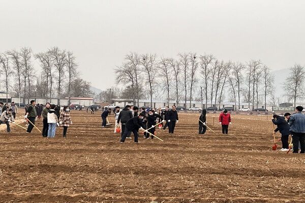 风韵丰满熟妇啪啪区老熟熟女