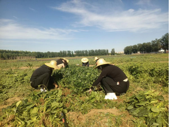 风韵丰满熟妇啪啪区老熟熟女