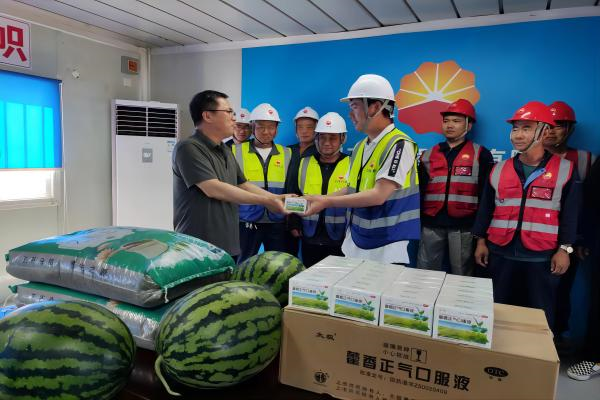 风韵丰满熟妇啪啪区老熟熟女