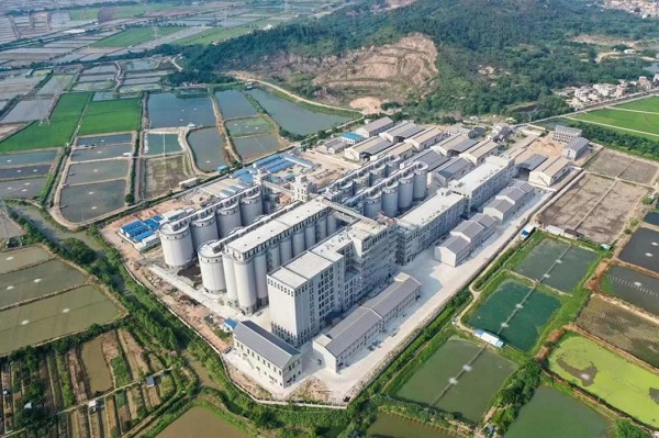 风韵丰满熟妇啪啪区老熟熟女