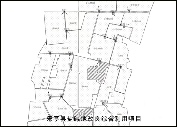 风韵丰满熟妇啪啪区老熟熟女