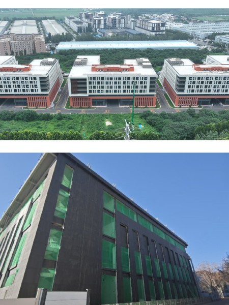 风韵丰满熟妇啪啪区老熟熟女