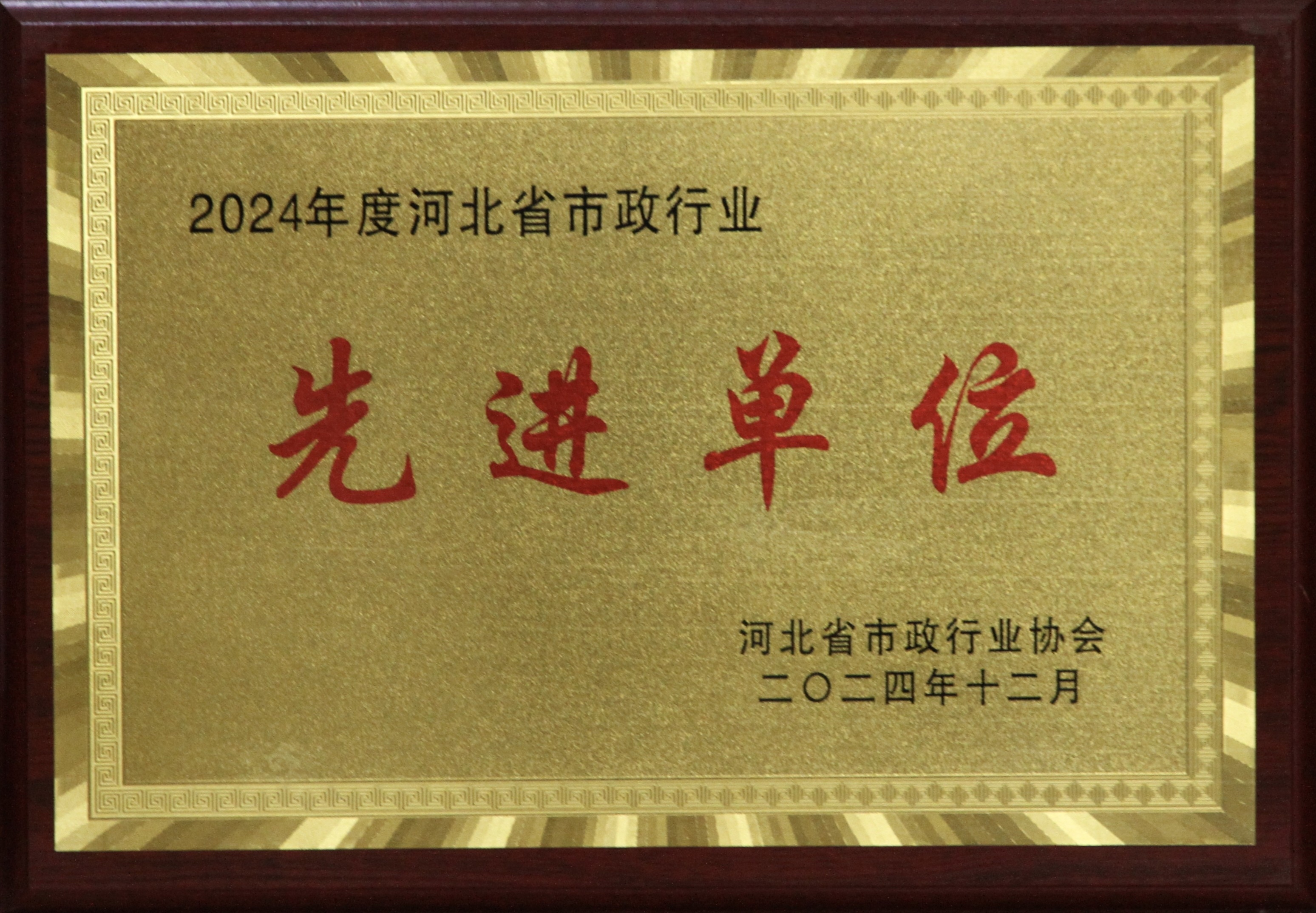 风韵丰满熟妇啪啪区老熟熟女