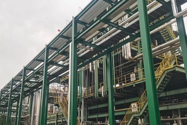 风韵丰满熟妇啪啪区老熟熟女