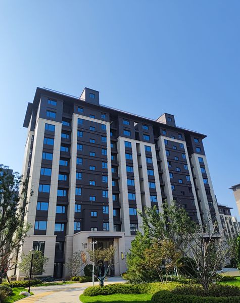 风韵丰满熟妇啪啪区老熟熟女