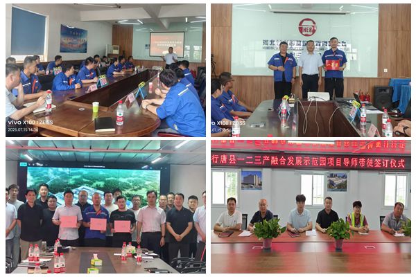 风韵丰满熟妇啪啪区老熟熟女